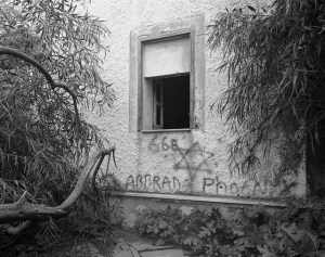 Morning of the Magicians