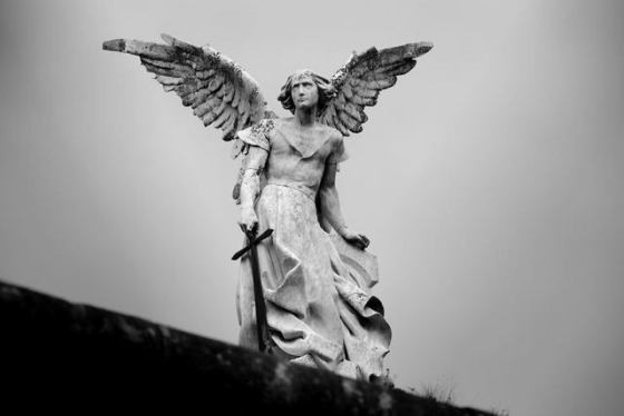 asoloma-20090508082906